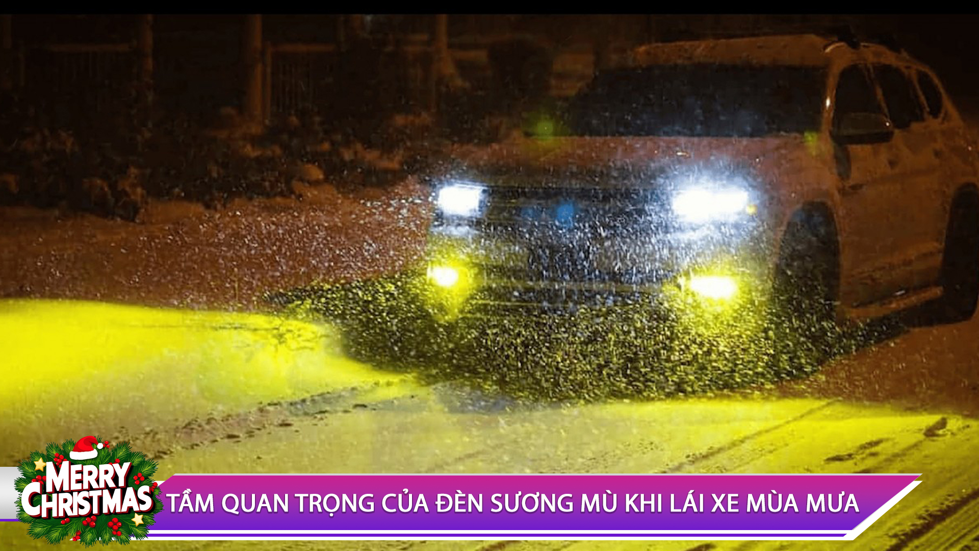 TẦM QUAN TRỌNG CỦA ĐÈN SƯƠNG MÙ KHI LÁI XE MÙA MƯA